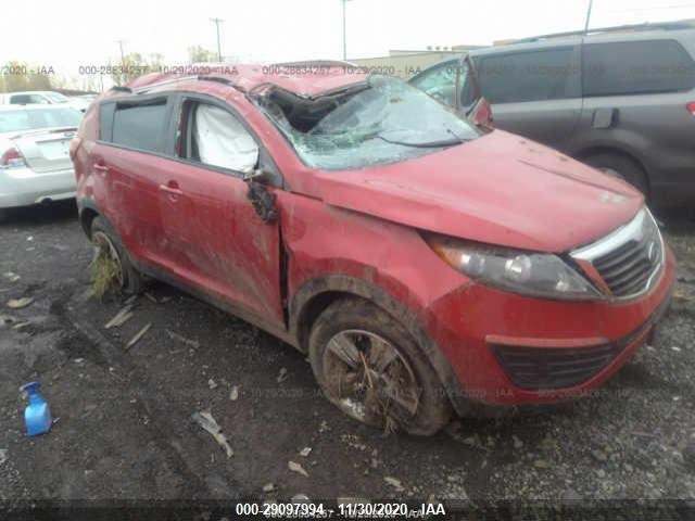 KIA SPORTAGE 2011 kndpb3a23b7042117