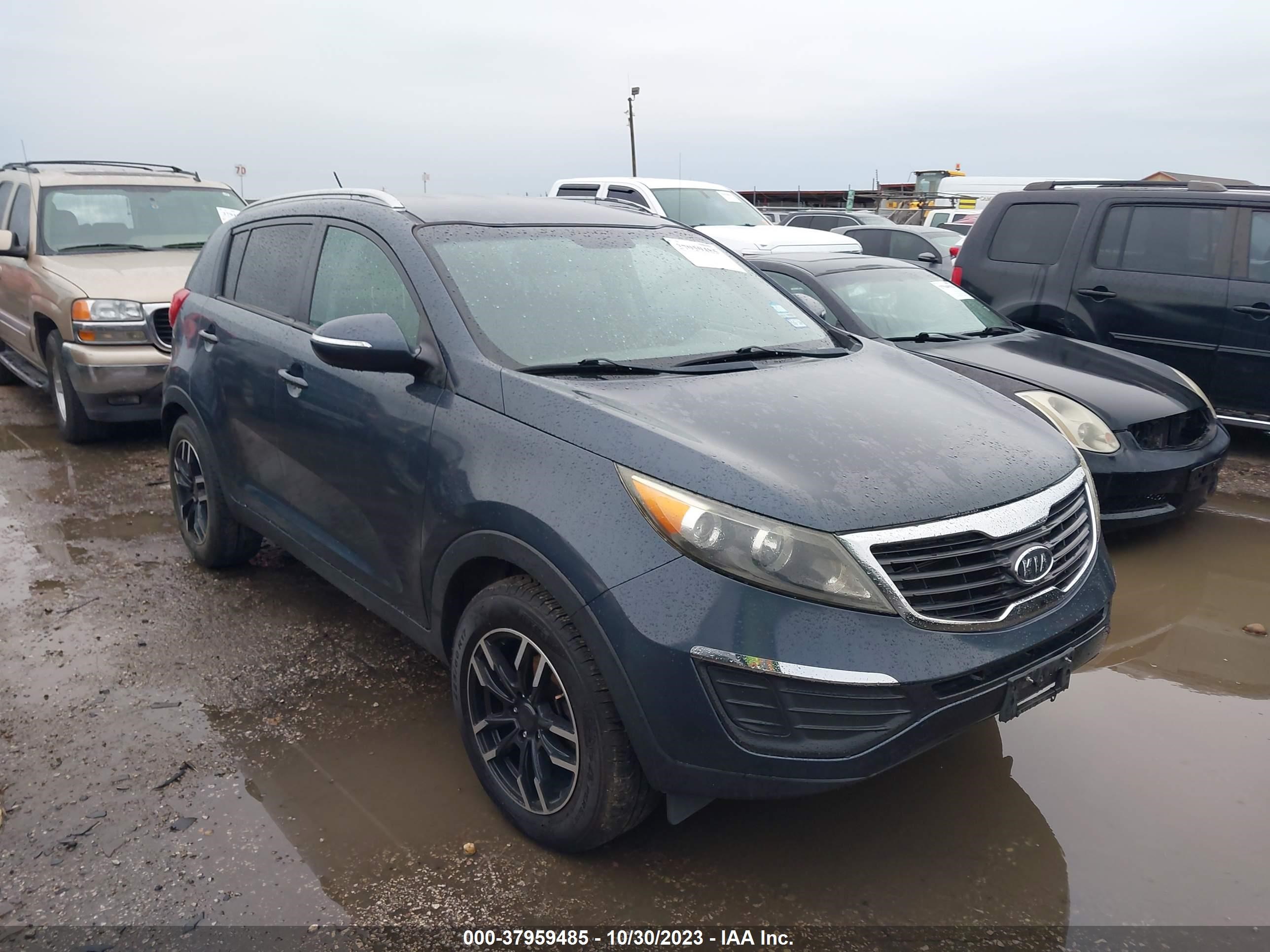 KIA SPORTAGE 2011 kndpb3a23b7156473