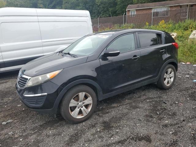 KIA SPORTAGE B 2012 kndpb3a23c7333167