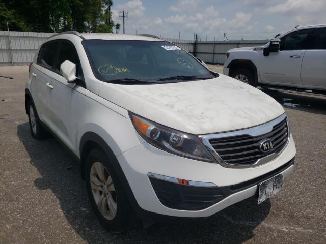 KIA SPORTAGE B 2013 kndpb3a23d7373394