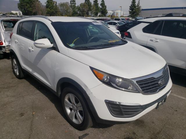 KIA SPORTAGE B 2013 kndpb3a23d7407026