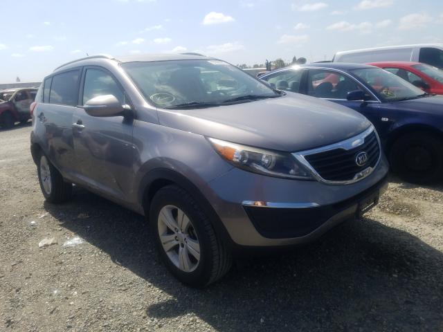 KIA SPORTAGE B 2013 kndpb3a23d7448630