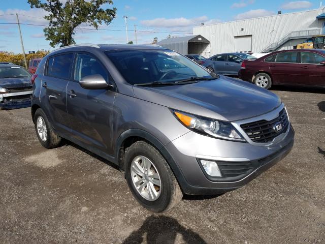 KIA SPORTAGE B 2013 kndpb3a23d7464715