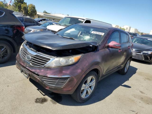 KIA SPORTAGE B 2012 kndpb3a24c7253280