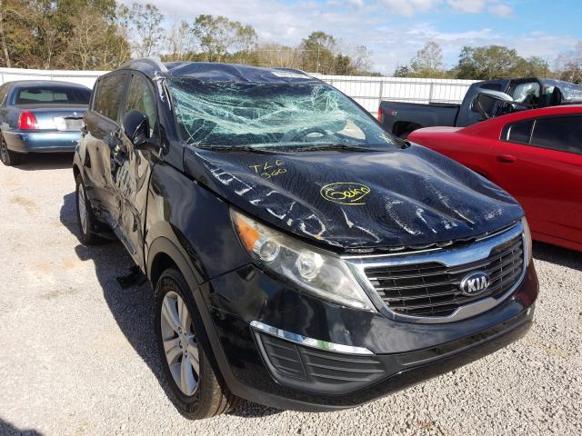 KIA SPORTAGE B 2013 kndpb3a24d7428872