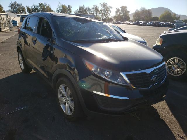 KIA SPORTAGE B 2013 kndpb3a24d7493351