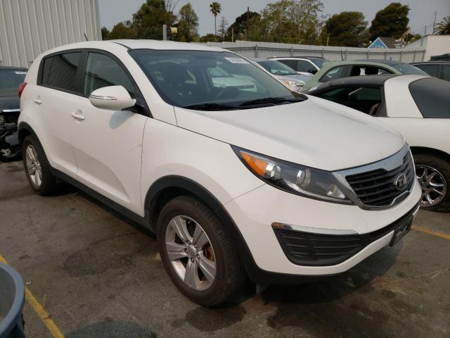 KIA SPORTAGE B 2013 kndpb3a24d7501285