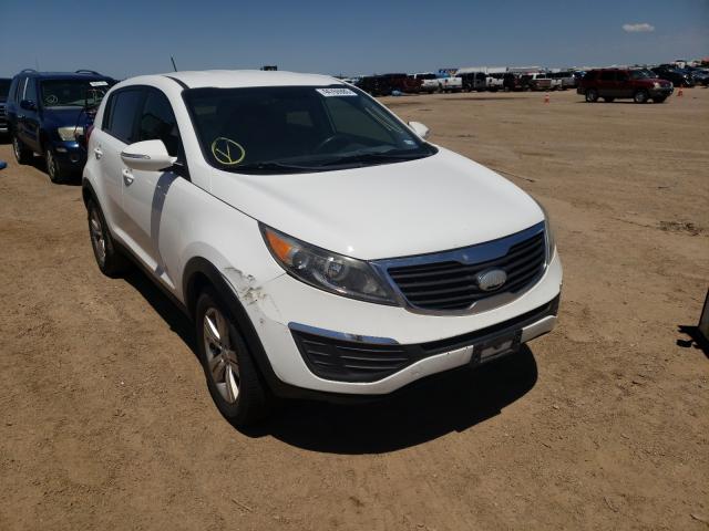 KIA SPORTAGE B 2013 kndpb3a24d7510195