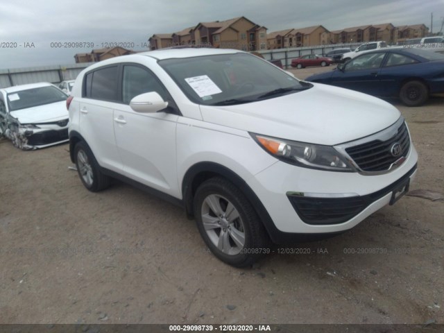 KIA SPORTAGE 2013 kndpb3a24d7516448