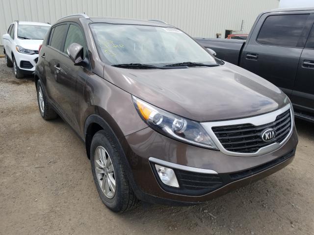 KIA SPORTAGE B 2013 kndpb3a24d7531645