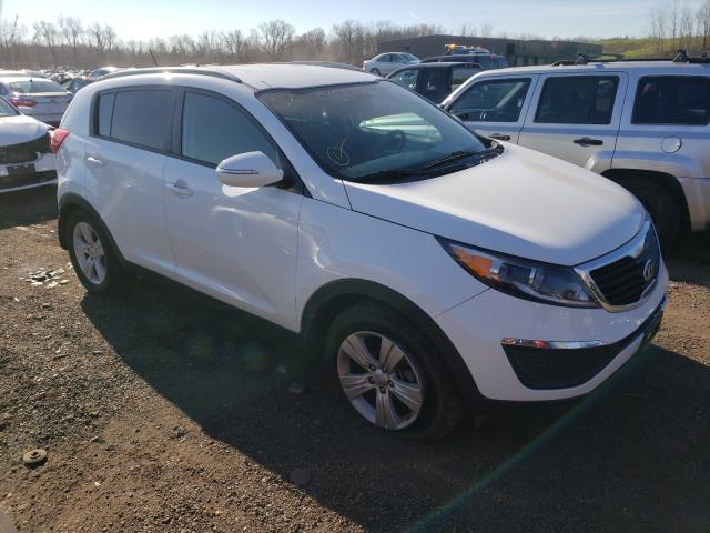 KIA NULL 2013 kndpb3a24d7538966