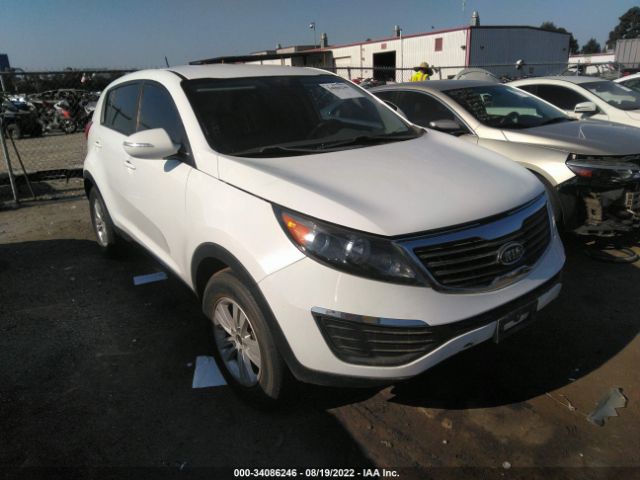 KIA SPORTAGE 2011 kndpb3a25b7045195