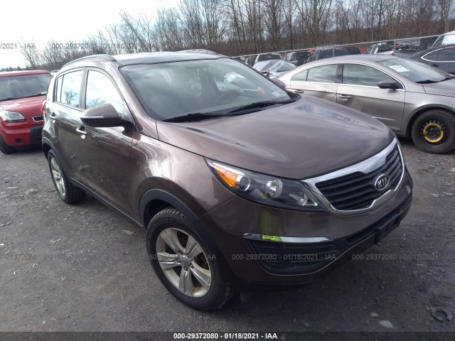 KIA SPORTAGE 2011 kndpb3a25b7050221