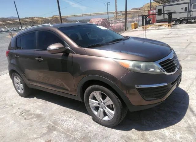 KIA SPORTAGE 2011 kndpb3a25b7080187