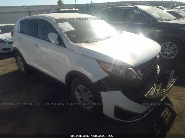 KIA SPORTAGE 2011 kndpb3a25b7115682