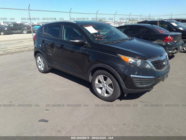 KIA SPORTAGE 2012 kndpb3a25c7204394