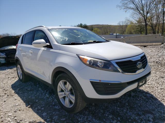 KIA SPORTAGE B 2012 kndpb3a25c7267429