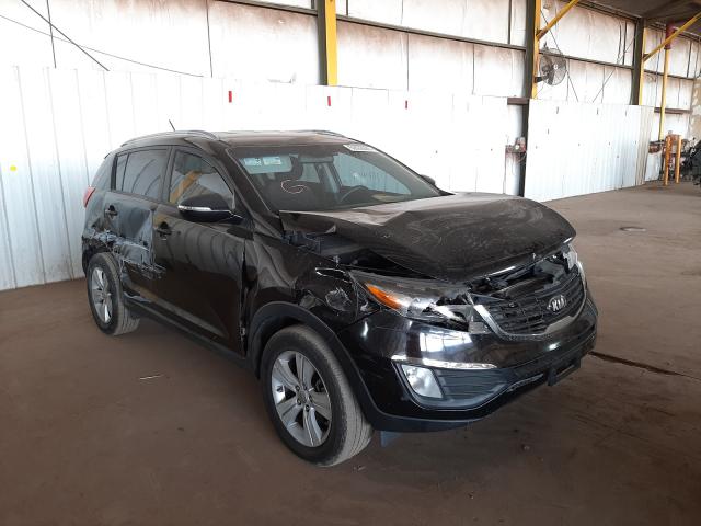 KIA SPORTAGE B 2013 kndpb3a25d7369802