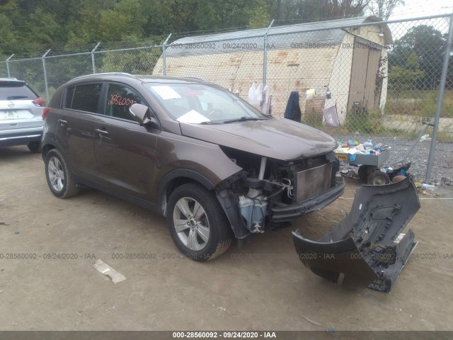 KIA SPORTAGE 2011 kndpb3a26b7053967