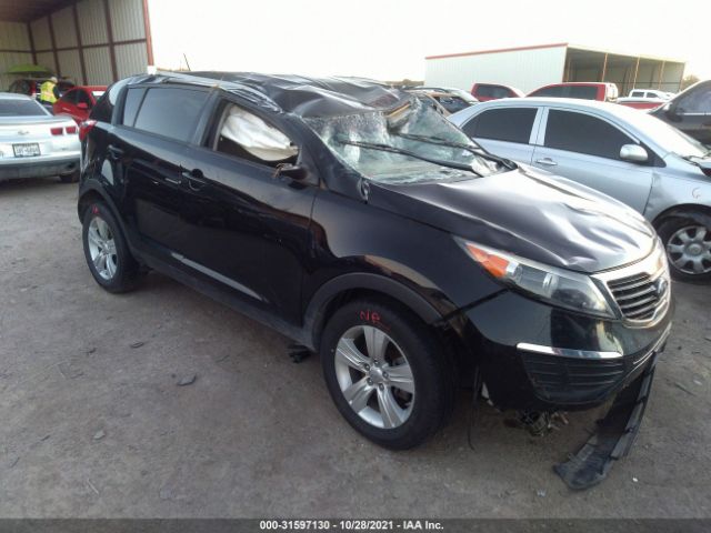 KIA SPORTAGE 2012 kndpb3a26c7198105