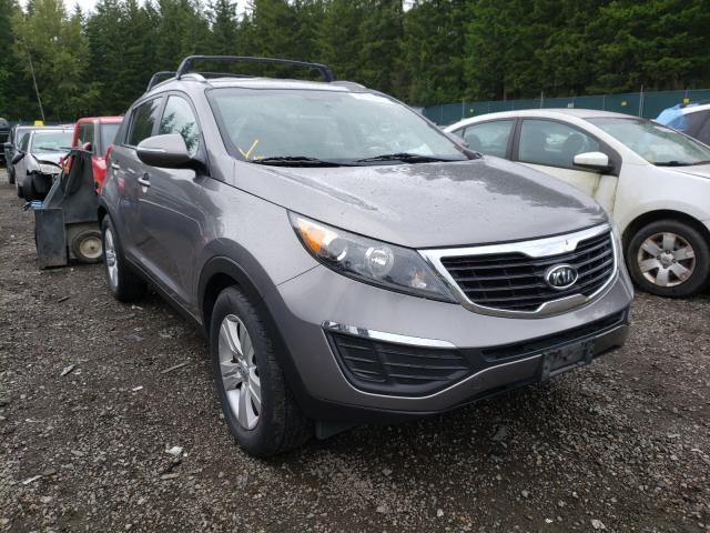 KIA SPORTAGE B 2012 kndpb3a26c7327296