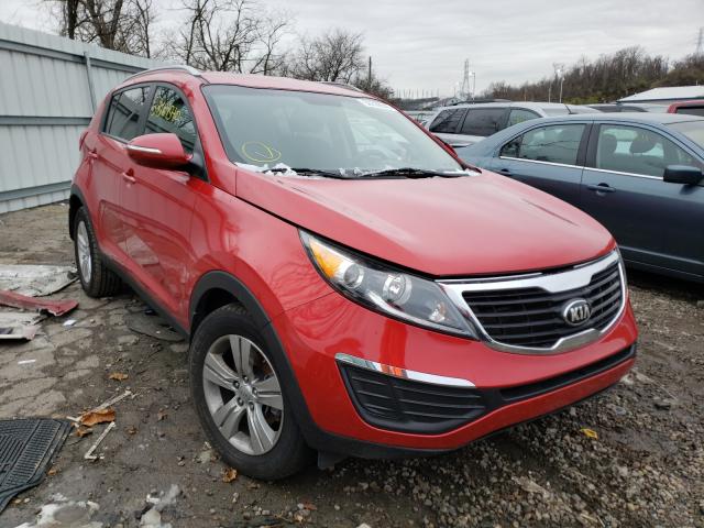 KIA SPORTAGE B 2013 kndpb3a26d7373549