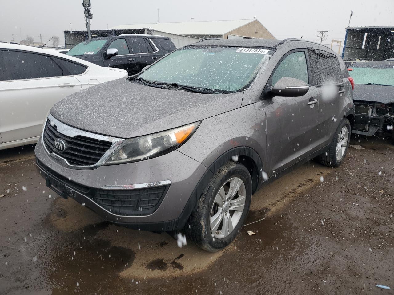 KIA SPORTAGE 2013 kndpb3a26d7394286