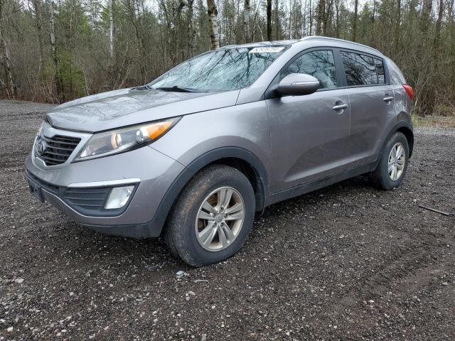 KIA SPORTAGE 2013 kndpb3a26d7469407