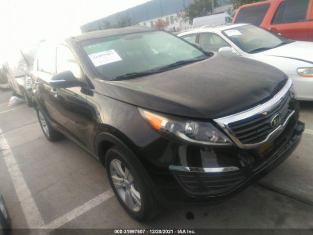 KIA SPORTAGE 2013 kndpb3a26d7504043