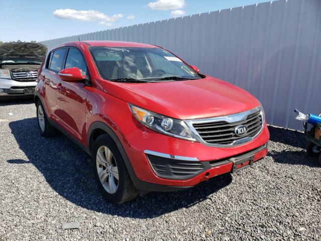 KIA SPORTAGE B 2013 kndpb3a26d7505466