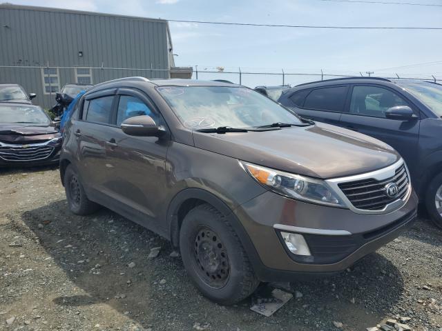 KIA SPORTAGE B 2013 kndpb3a26d7524681