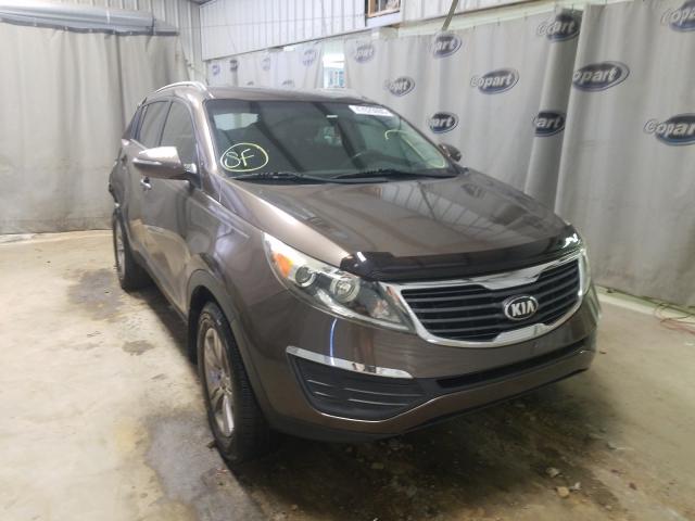 KIA SPORTAGE B 2013 kndpb3a26d7534756