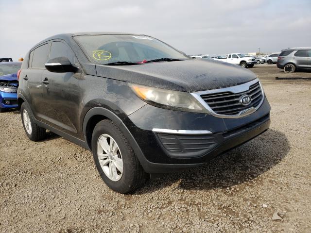 KIA SPORTAGE L 2011 kndpb3a27b7078019