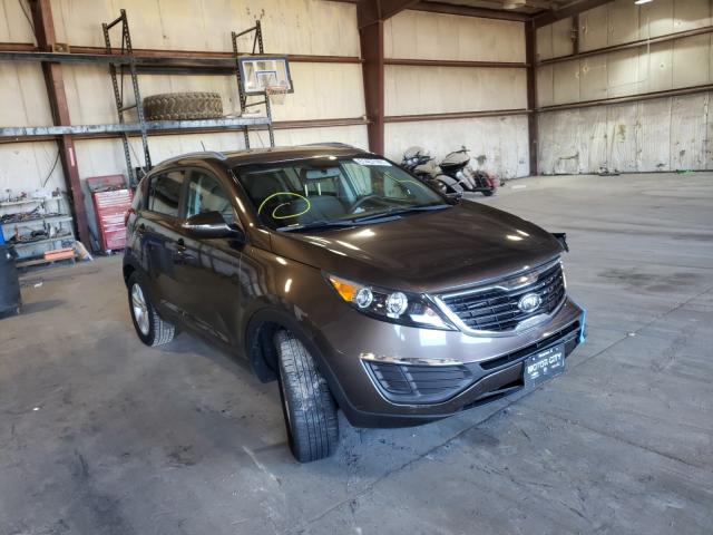 KIA SPORTAGE L 2011 kndpb3a27b7117790