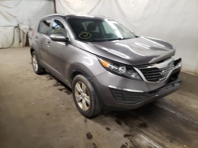 KIA SPORTAGE B 2013 kndpb3a27d7358557