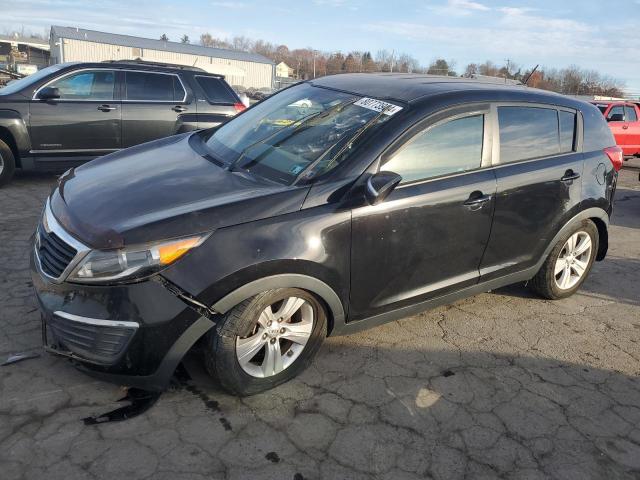 KIA SPORTAGE B 2013 kndpb3a27d7365444