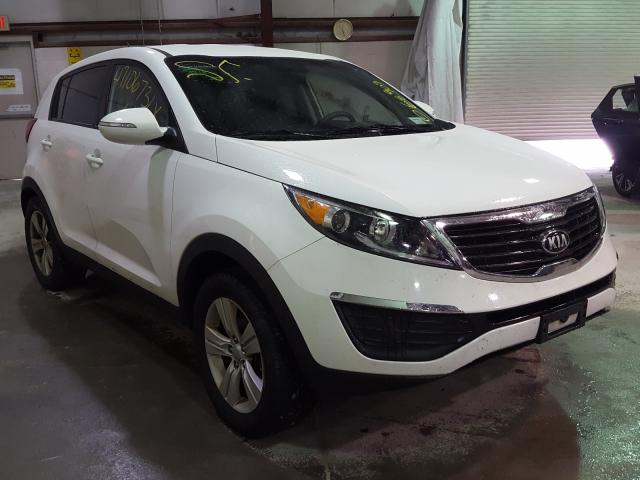 KIA SPORTAGE B 2013 kndpb3a27d7501989