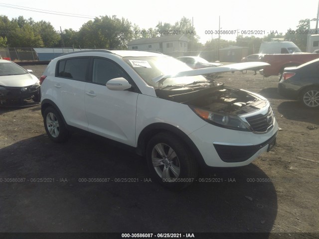 KIA SPORTAGE 2011 kndpb3a28b7025555