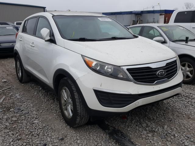 KIA SPORTAGE L 2011 kndpb3a28b7099087