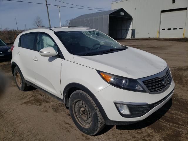 KIA SPORTAGE B 2012 kndpb3a28c7308586