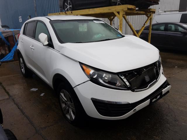 KIA SPORTAGE 2013 kndpb3a28d7440815