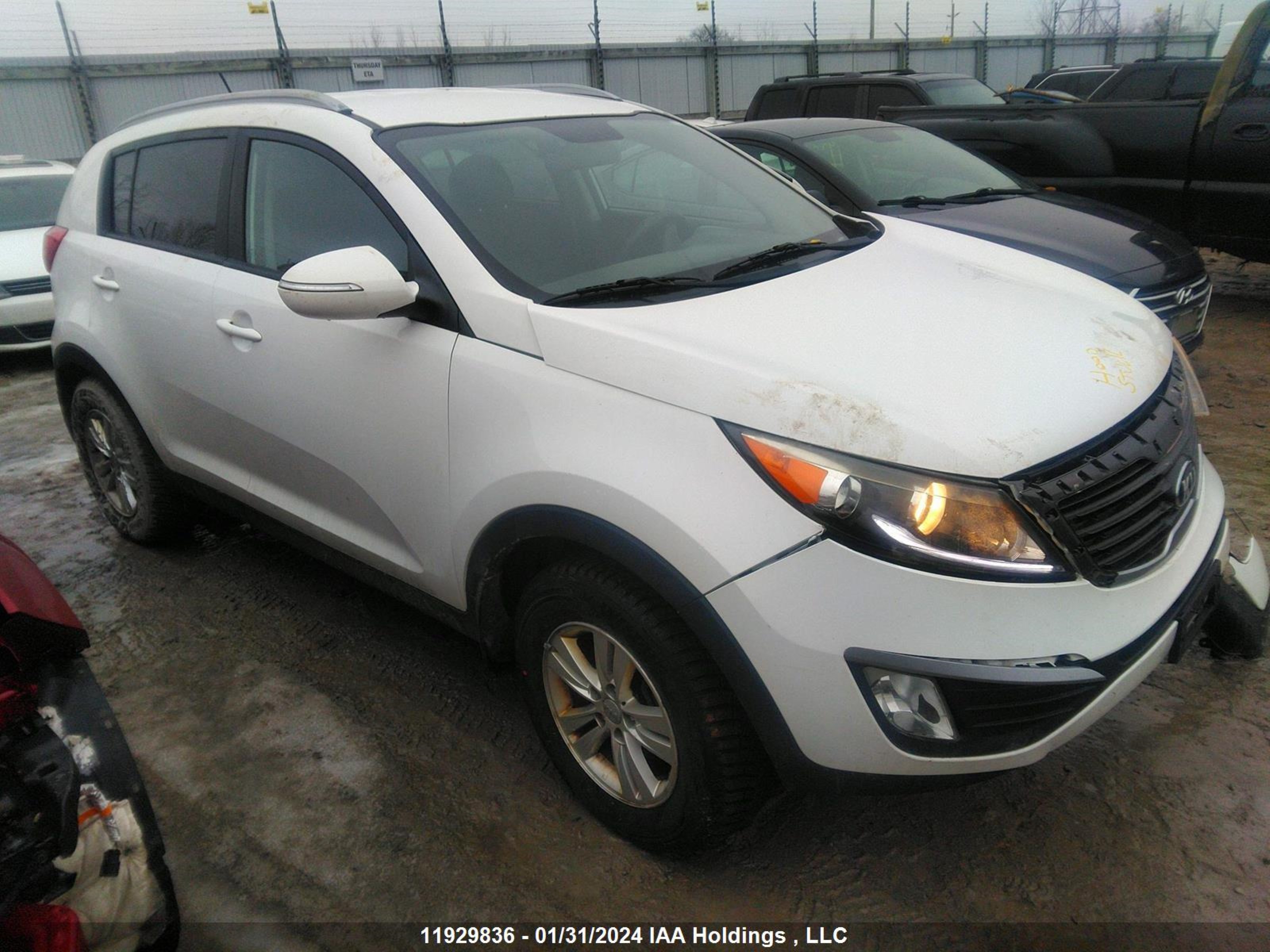 KIA SPORTAGE 2013 kndpb3a28d7460210