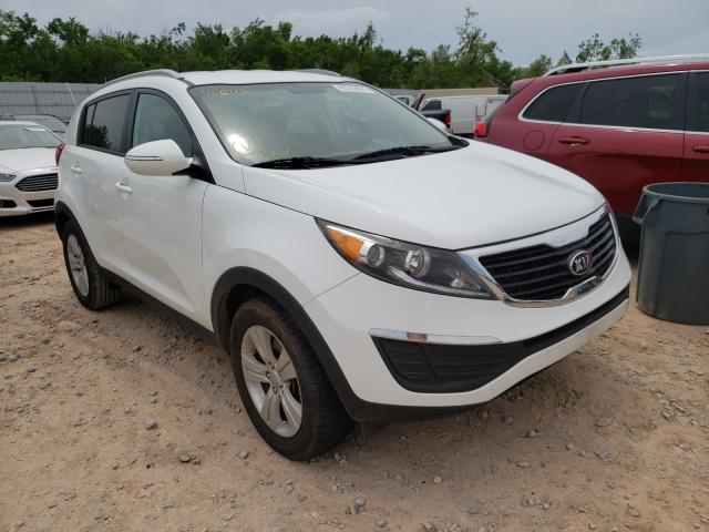 KIA SPORTAGE B 2013 kndpb3a28d7466430