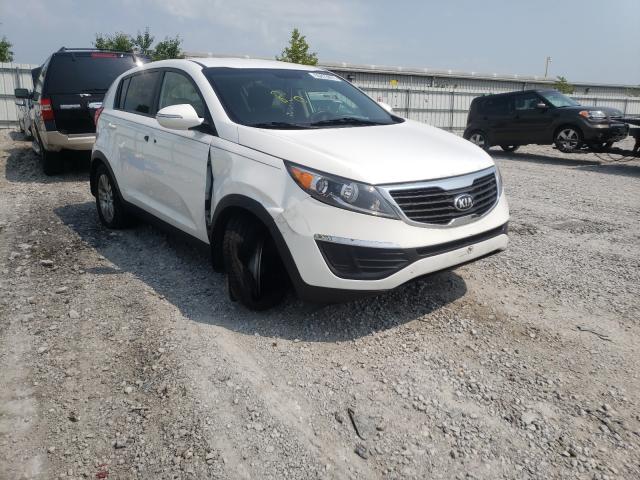 KIA SPORTAGE B 2013 kndpb3a28d7532751