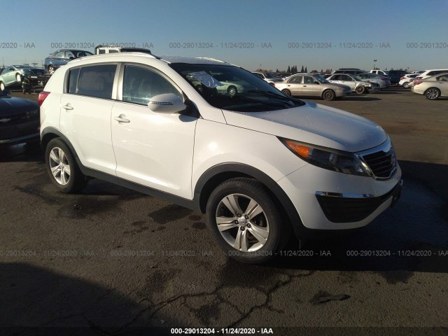 KIA SPORTAGE 2011 kndpb3a29b7023734