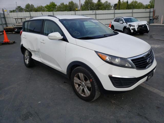 KIA SPORTAGE L 2011 kndpb3a29b7059679