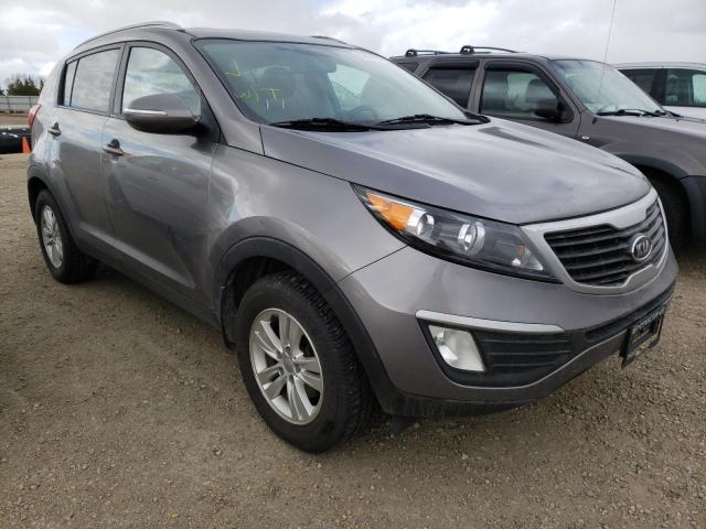 KIA SPORTAGE B 2012 kndpb3a29c7286369