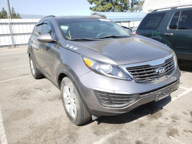 KIA SPORTAGE B 2013 kndpb3a29d7369916