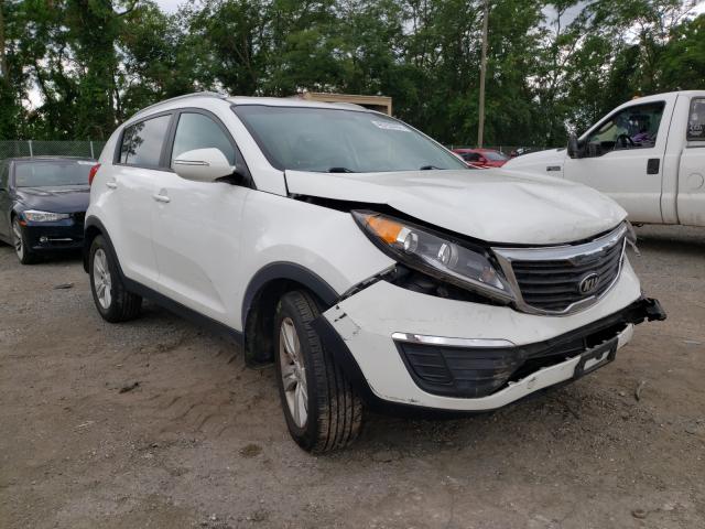 KIA SPORTAGE B 2013 kndpb3a29d7518275