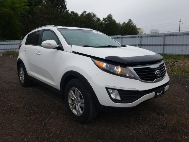 KIA SPORTAGE L 2011 kndpb3a2xb7149942